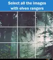 select all images with elven rangers