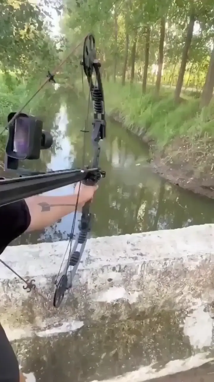 Semi-automatic Bow