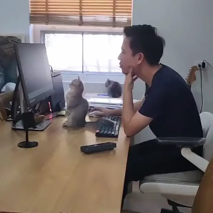 Senior developer overseeing the juniors code