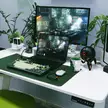 Sharing my very first office workspace. Any improvements ?