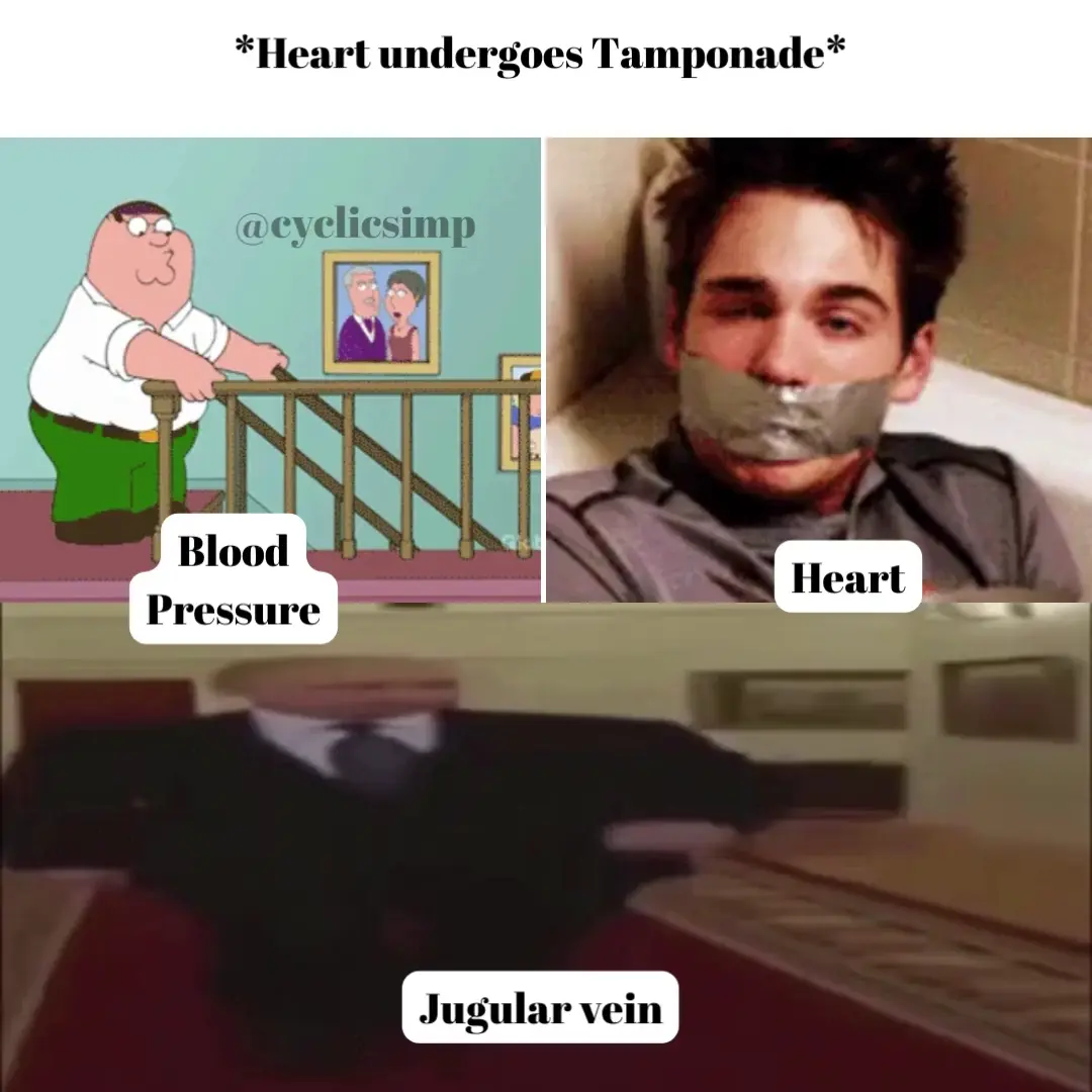 Sharing this meme with a heavy heart