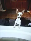 She didn't know what to think about me taking a bath