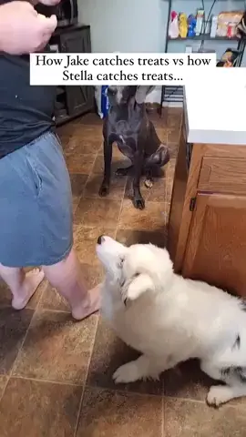 SHE IS TRYING. HER. BEST.