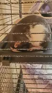 She knows what she has done. Shame her.