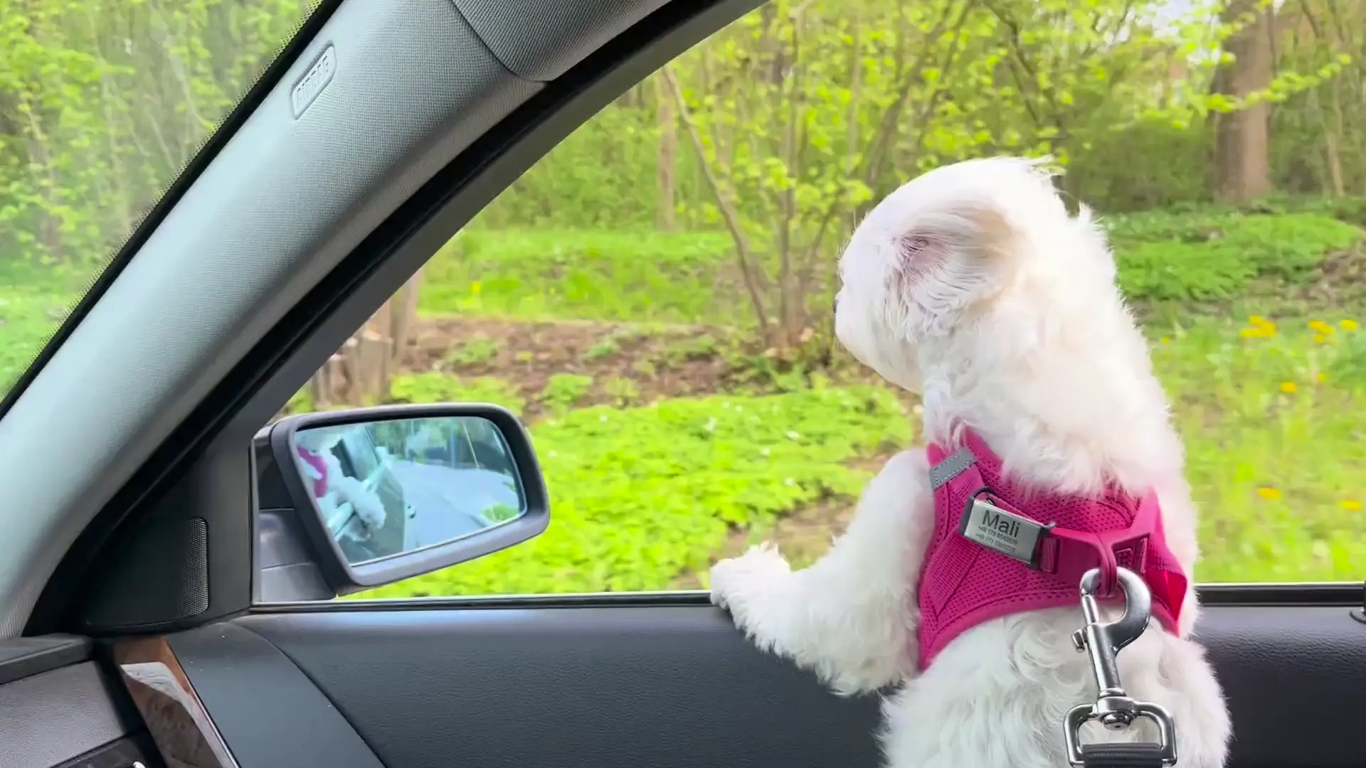 She likes the wind