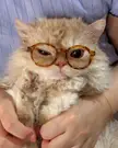 She looks cute on the glasses.