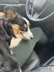 She looks like a meme