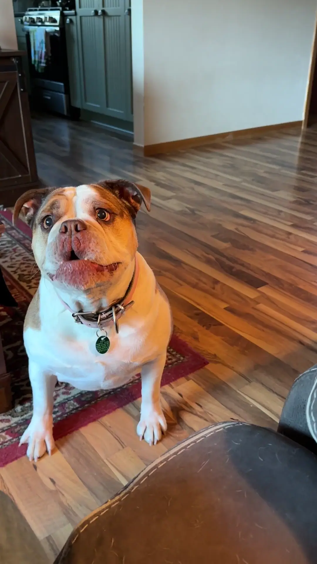 She makes the funniest sounds when she wants something