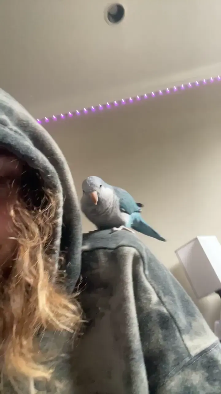 She’s a goofball😆