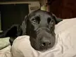She’s the cutest at bedtime 