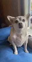 She wants to ask the ppl of Reddit if she’s pretty