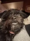 Show me those bottom teeth!  