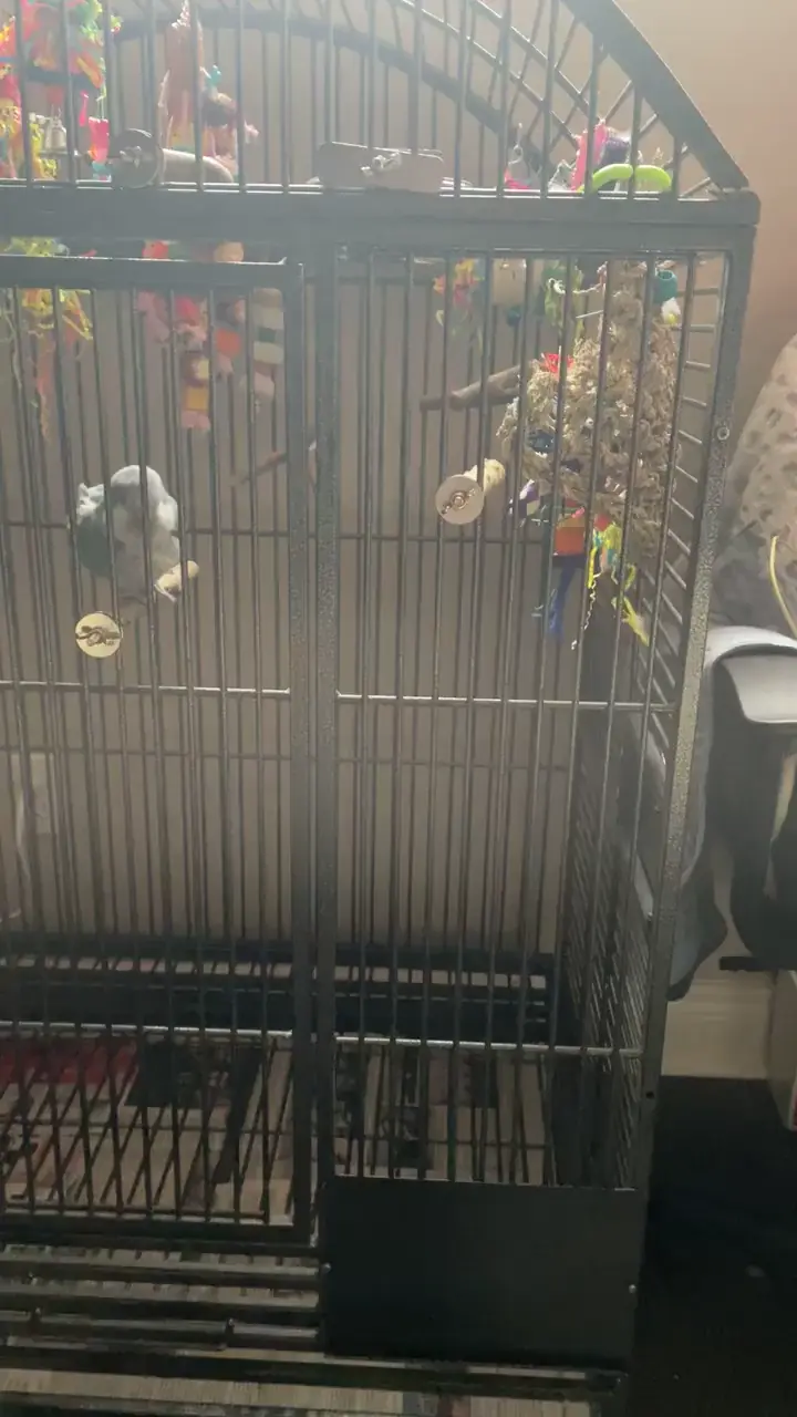 Sky’s cage upgrade !!