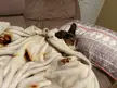 Sleepover at my brothers house