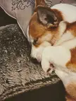 Sleepy Girl