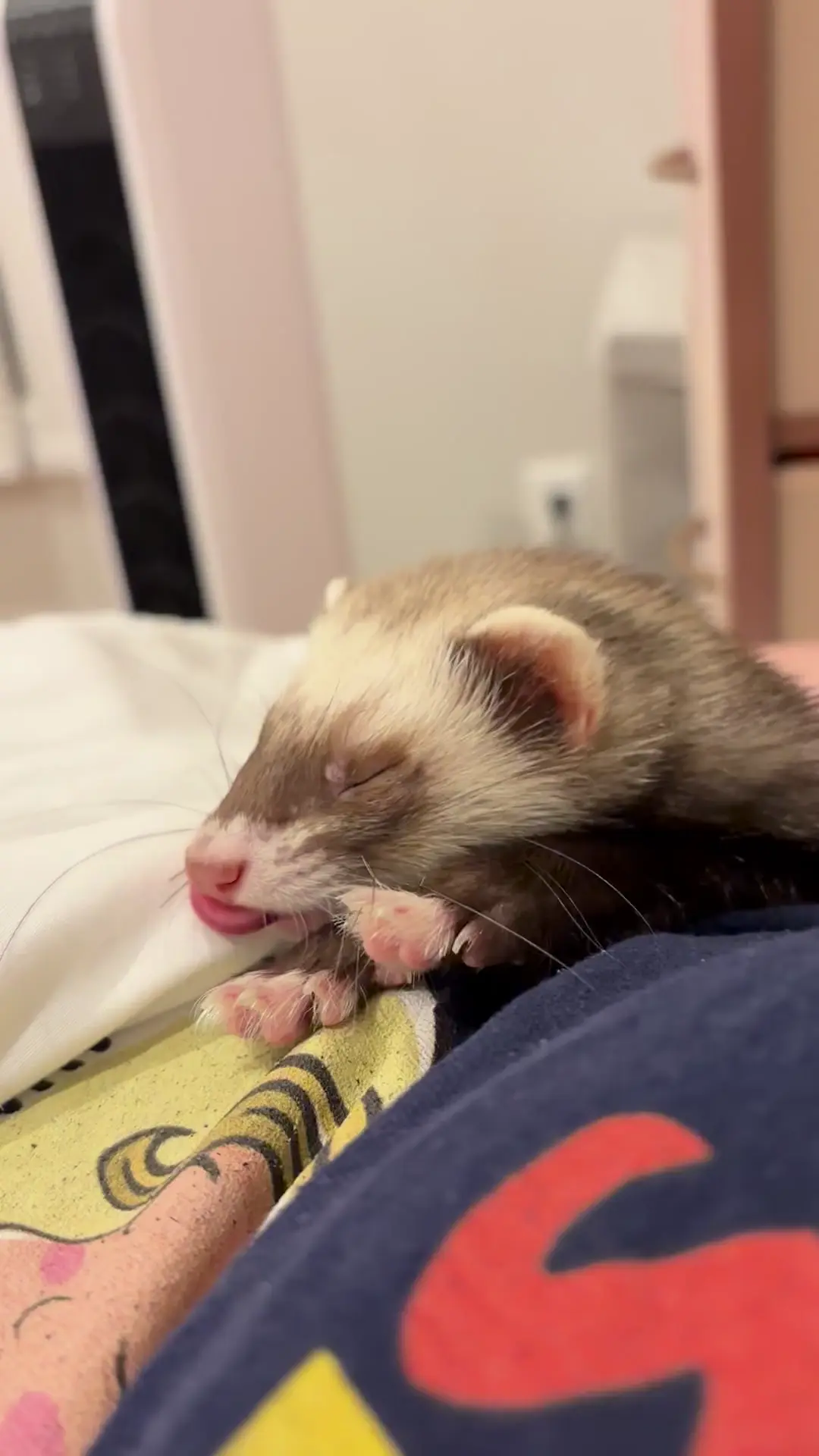 Sleepy girl tries to walk across me
