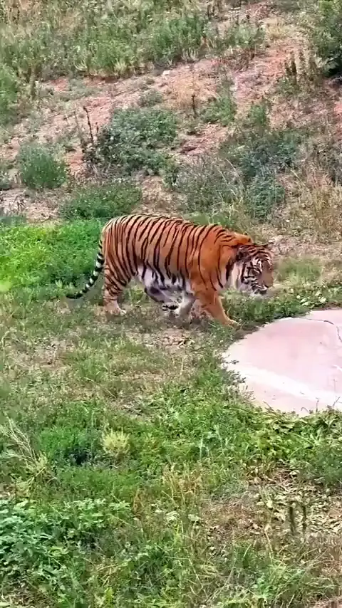 Sneaky . . . almost . . . sneaky . . . FOILED!