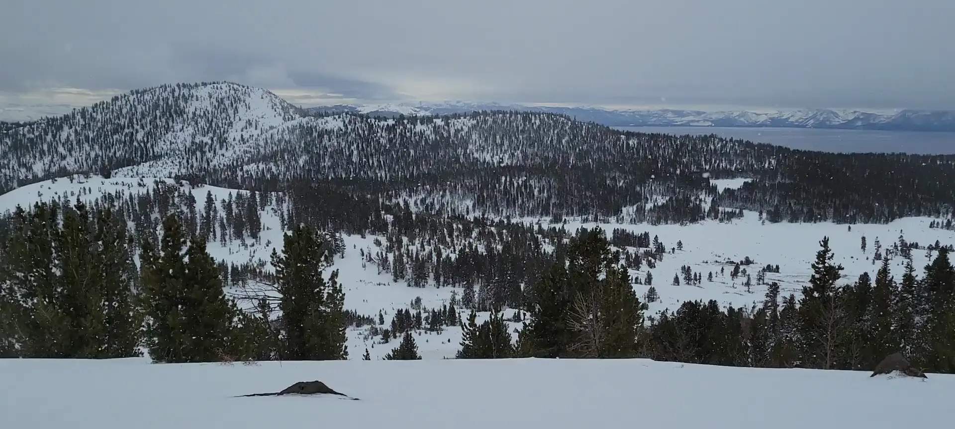 Snow coming down in Incline Village, NV