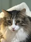 So lucky to catch a blep