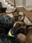 So much going on here 