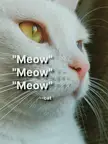 Some quotes I found online