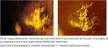 Sonar image of "Amelia Earhart plane" was actually a rock formation on the sea floor