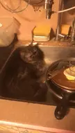 sorry for the messy sink