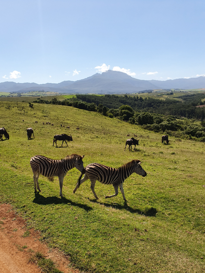 South Africa