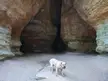 Spelunking with a Boerboel