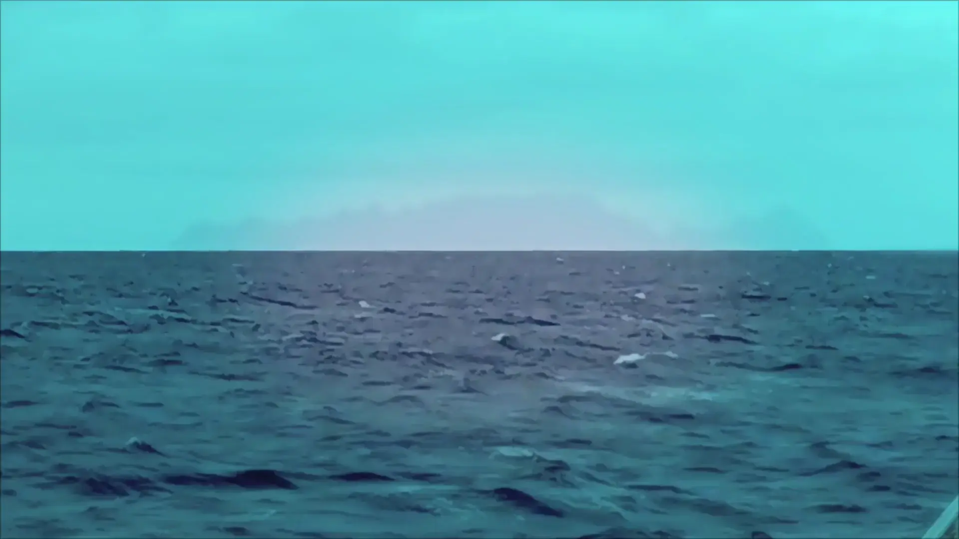 Sperm whale breaching (OC)