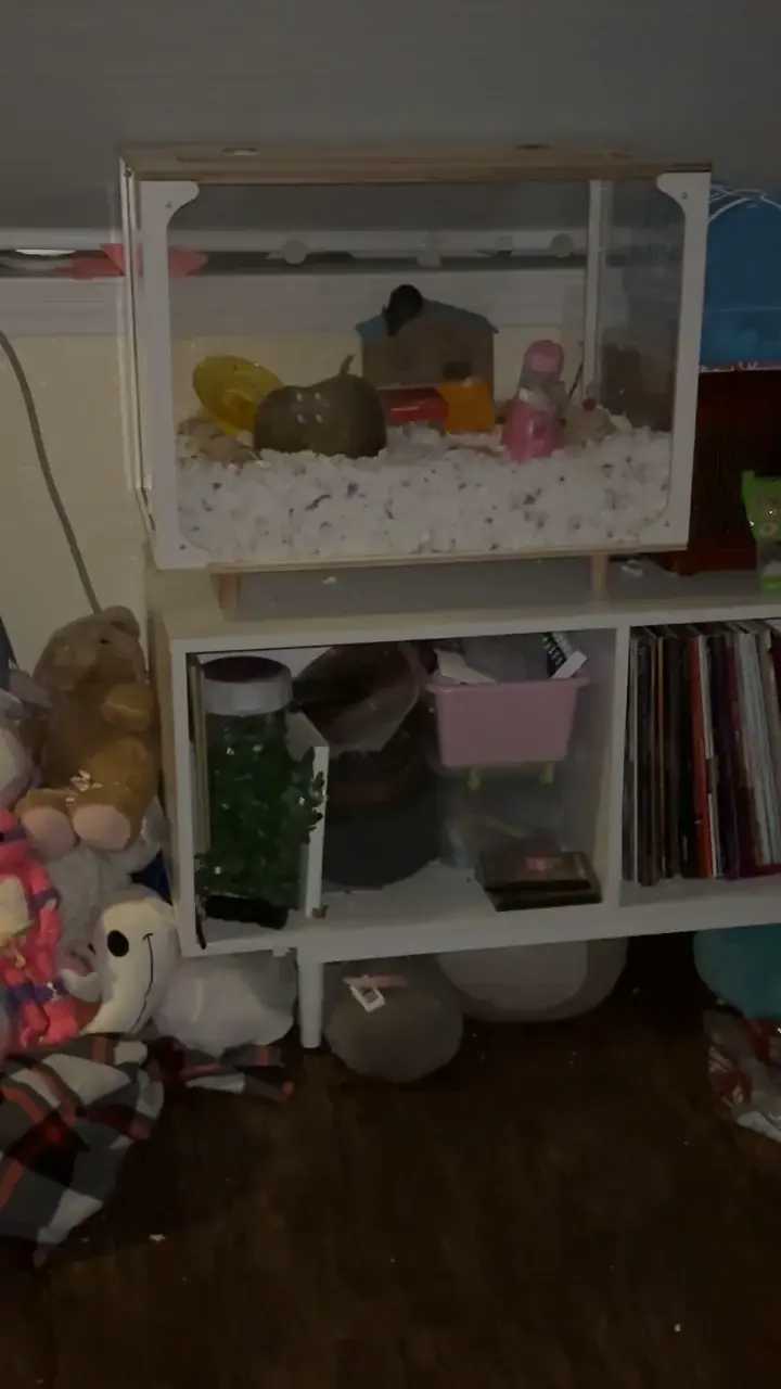 Spider-man mouse pt. 2