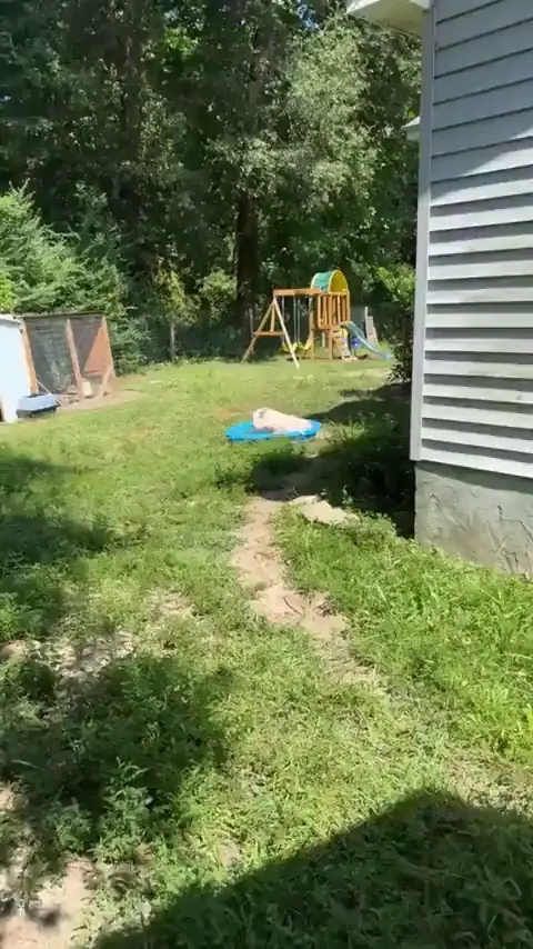 Splishin' and splashin' in the pool