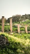 Spring in Jordan 🇯🇴