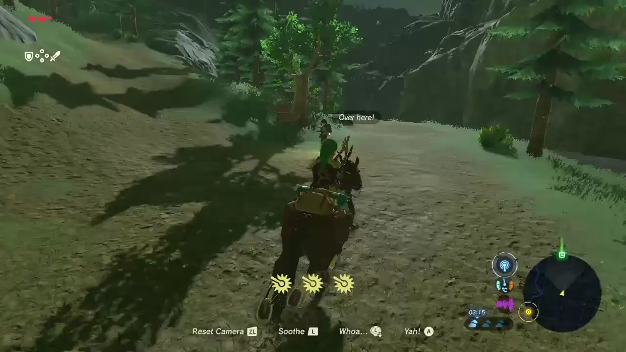 stal lizalfos said no to vandalism