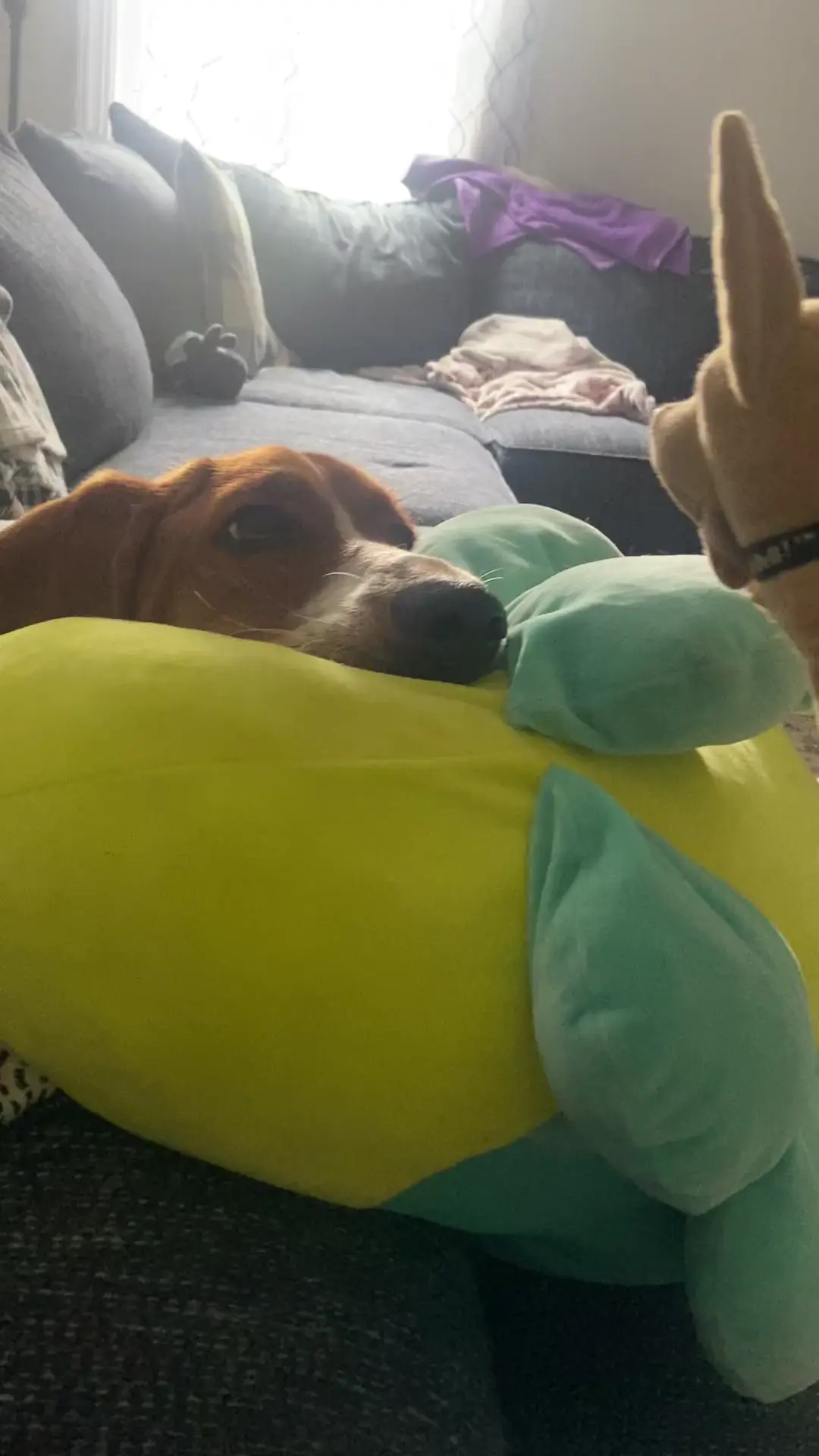 started the interrogation process. I think he’s close to confessing