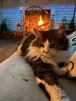 Staying cozy by the fire :)
