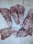 Steatosis of the muscle or exceptional marbling?