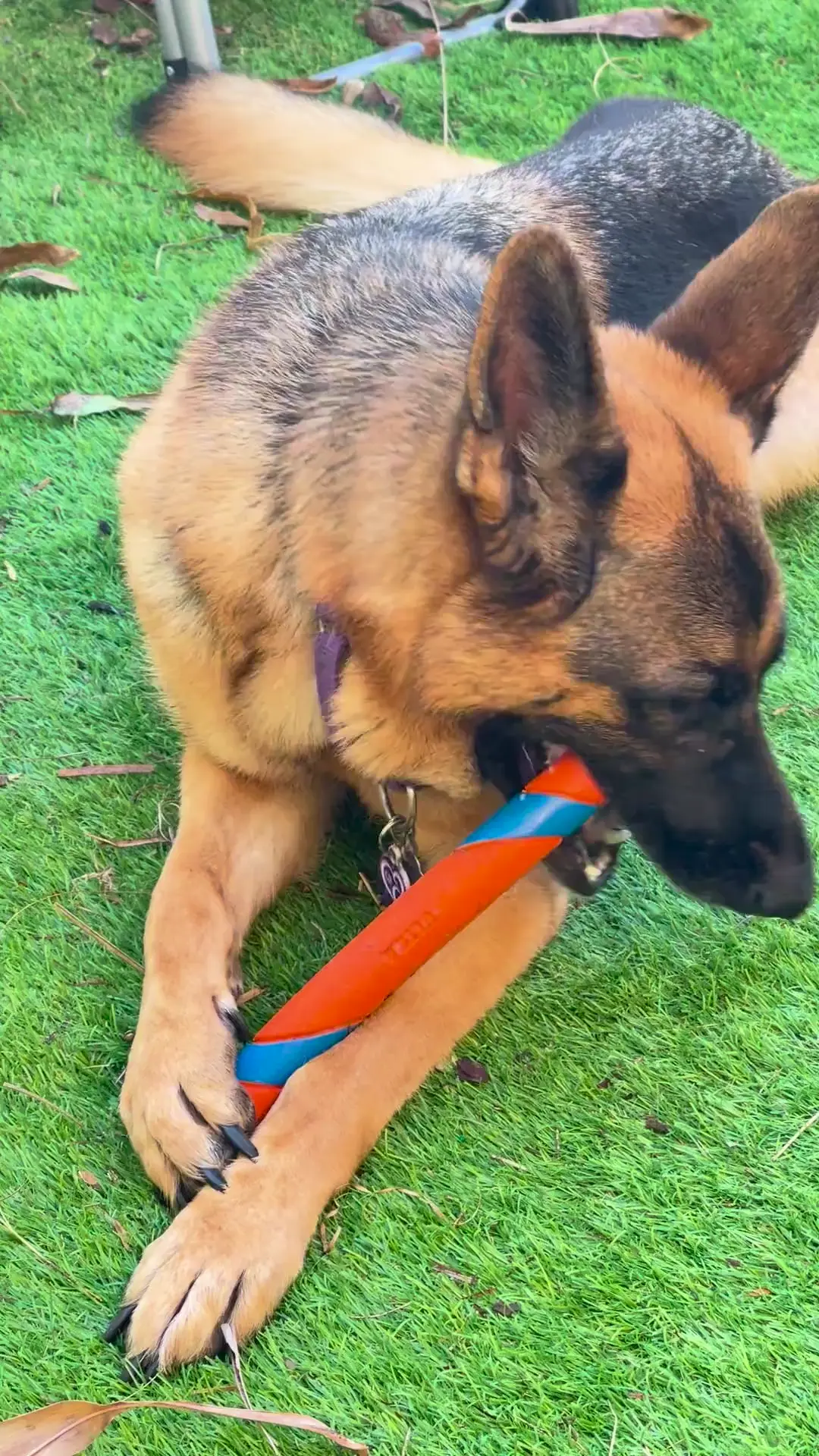 Stick is Life