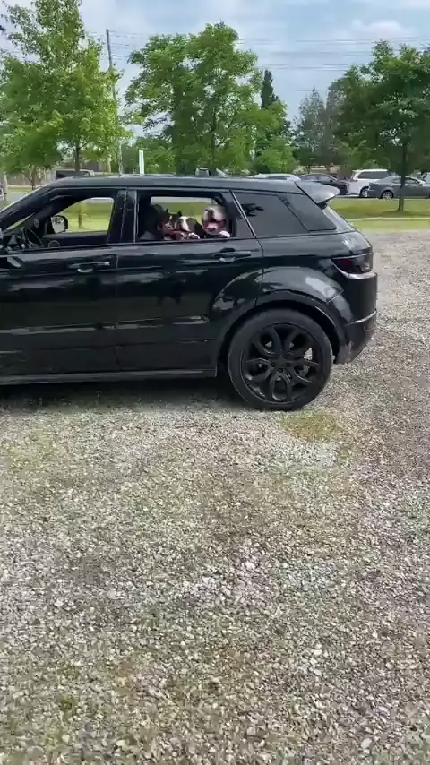 Stranger danger ⚠️ 🚨