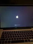 Stuck on a loading screen while updating (unsupported mac)