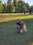 Such grace.  A true athlete in action