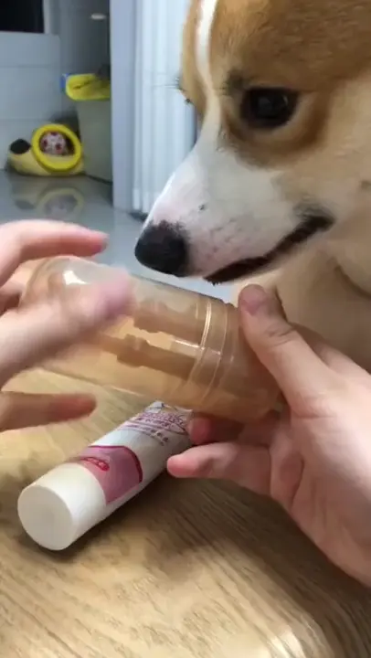 Super good baby brushing teeth