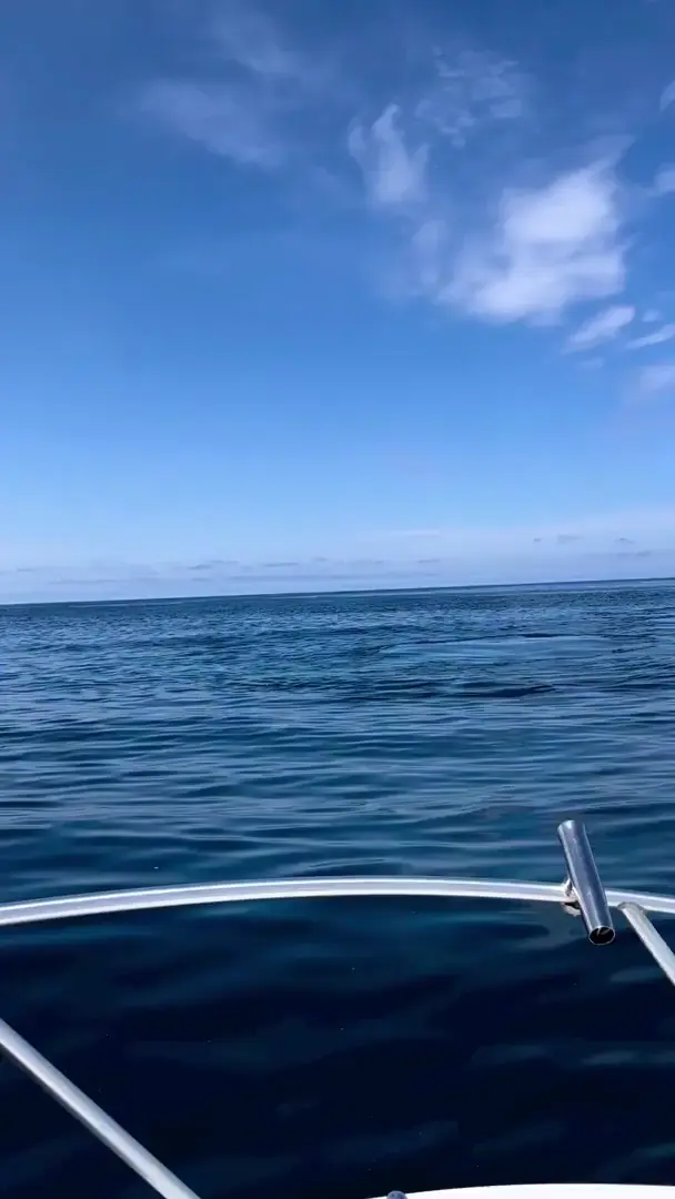 Surrounded by Blues!