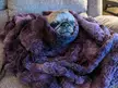 Swaddled old pug