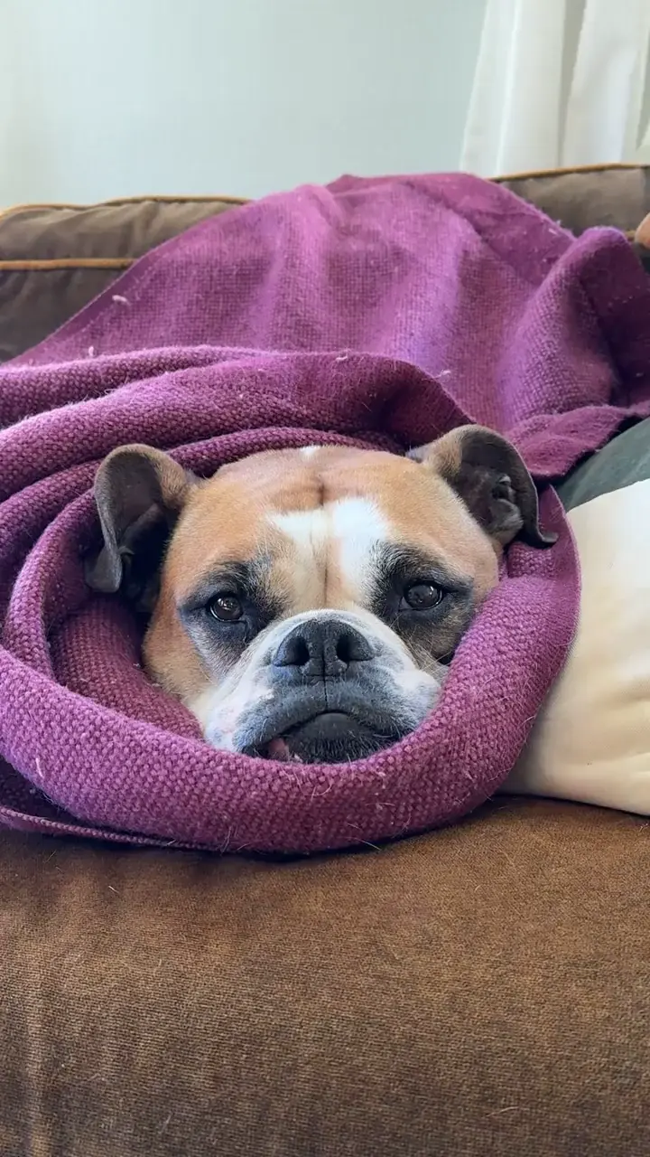 Sweater Weather