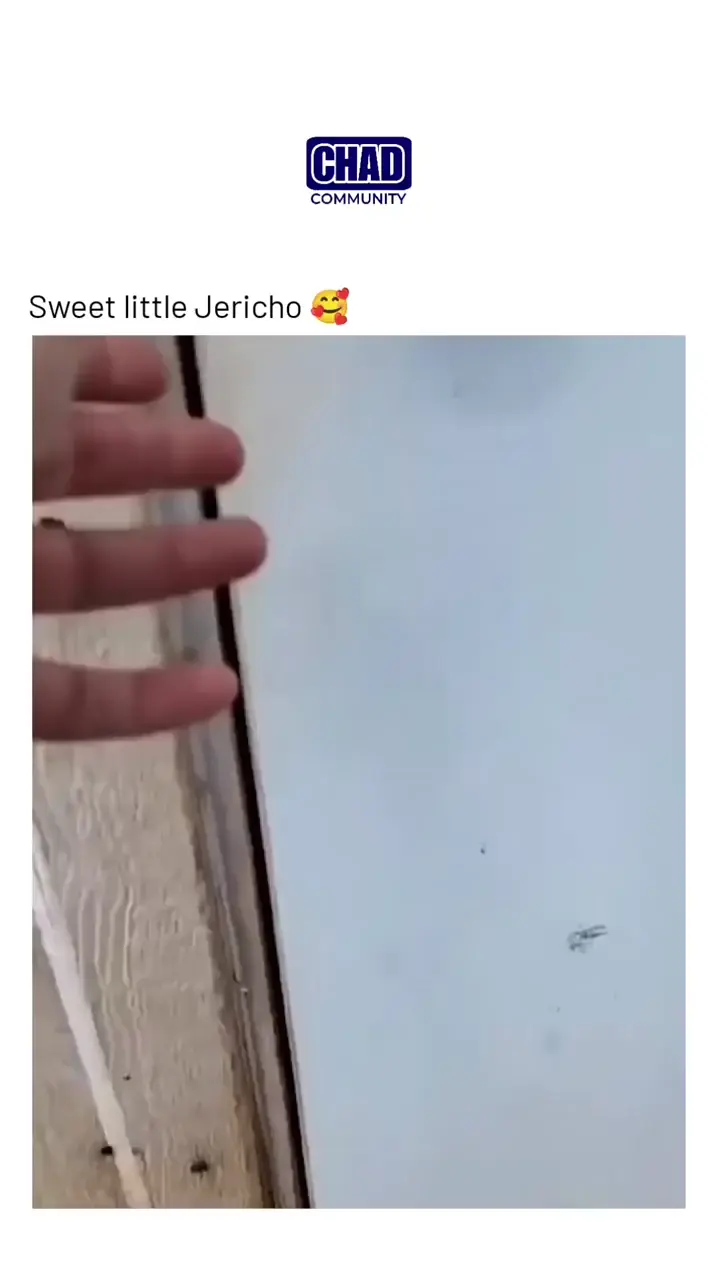 Sweet little Jericho