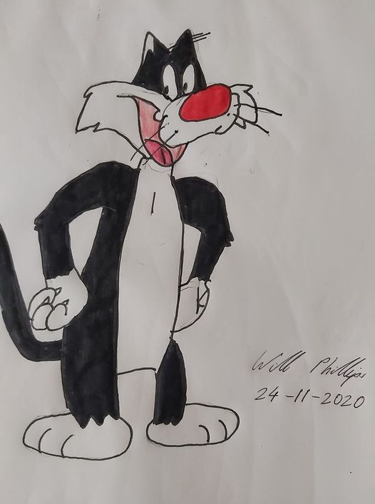 Sylvester drawing | Scrolller