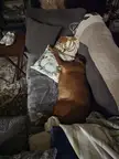 Taking half the couch and stuffing her face in pillows