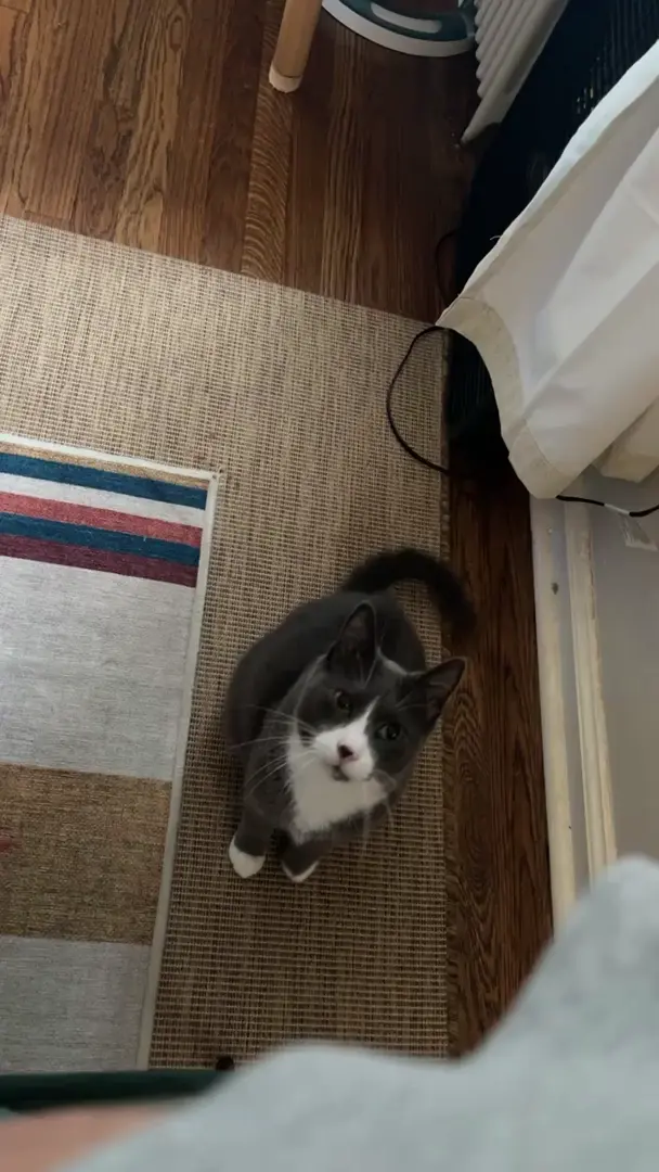 Tap for attention