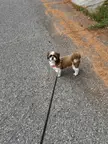 Tater doing what I think his favorite thing 